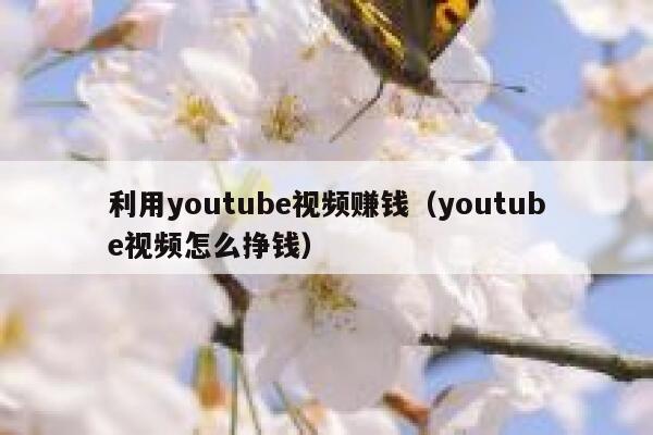 利用youtube视频赚钱（youtube视频怎么挣钱） 第1张
