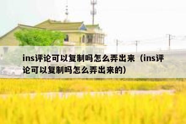 ins评论可以复制吗怎么弄出来（ins评论可以复制吗怎么弄出来的） 第1张