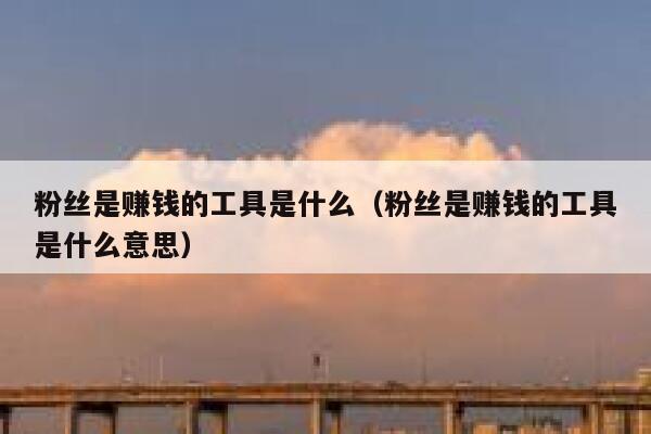 粉丝是赚钱的工具是什么（粉丝是赚钱的工具是什么意思） 第1张