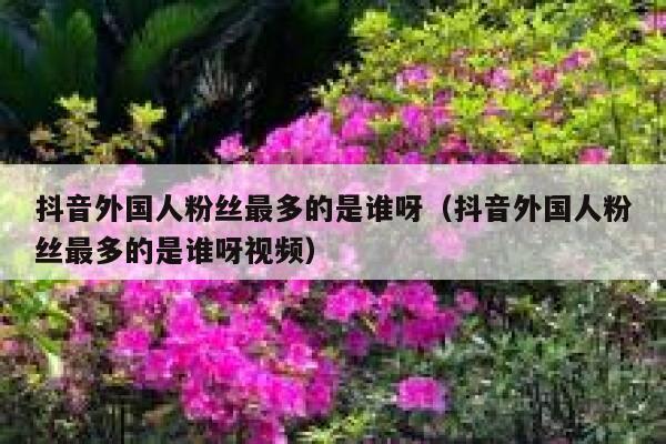 抖音外国人粉丝最多的是谁呀(抖音外国人粉丝最多的是谁呀视频) 第1张 抖音外国人粉丝最多的是谁呀(抖音外国人粉丝最多的是谁呀视频) 第1张
