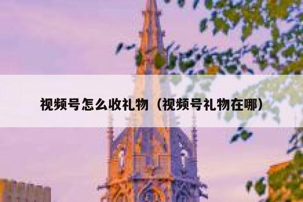 视频号怎么收礼物（视频号礼物在哪） 第1张