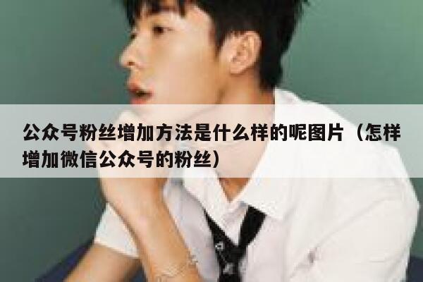 公众号粉丝增加方法是什么样的呢图片（怎样增加微信公众号的粉丝） 第1张