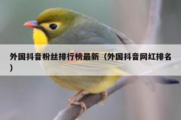 外国抖音粉丝排行榜最新（外国抖音网红排名） 第1张