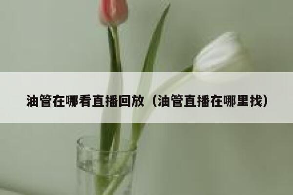 油管在哪看直播回放(油管直播在哪里找) 第1张 油管在哪看直播回放(油管直播在哪里找) 第1张