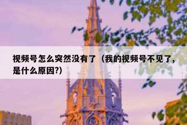 视频号怎么突然没有了（我的视频号不见了,是什么原因?） 第1张