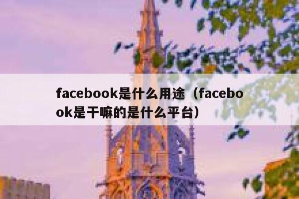 facebook是什么用途（facebook是干嘛的是什么平台） 第1张