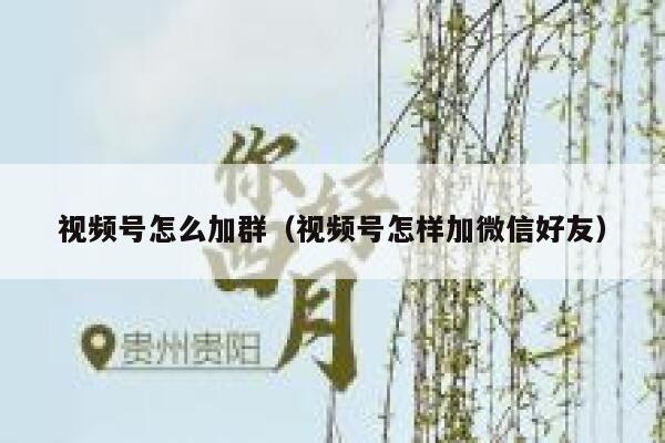 视频号怎么加群(视频号怎样加微信好友) 第1张 视频号怎么加群(视频号怎样加微信好友) 第1张