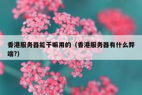 香港服务器能干嘛用的（香港服务器有什么弊端?） 第1张