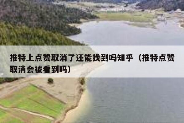 推特上点赞取消了还能找到吗知乎（推特点赞取消会被看到吗） 第1张