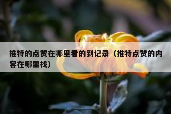 推特的点赞在哪里看的到记录(推特点赞的内容在哪里找) 第1张 推特的点赞在哪里看的到记录(推特点赞的内容在哪里找) 第1张