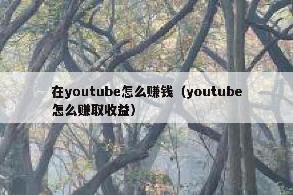 在youtube怎么赚钱(youtube怎么赚取收益) 第1张 在youtube怎么赚钱(youtube怎么赚取收益) 第1张