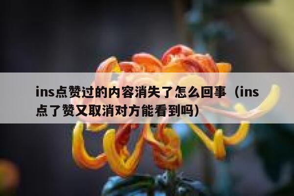 ins点赞过的内容消失了怎么回事(ins点了赞又取消对方能看到吗) 第1张 ins点赞过的内容消失了怎么回事(ins点了赞又取消对方能看到吗) 第1张