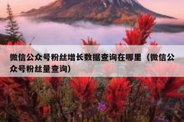 微信公众号粉丝增长数据查询在哪里(微信公众号粉丝量查询) 第1张 微信公众号粉丝增长数据查询在哪里(微信公众号粉丝量查询) 第1张