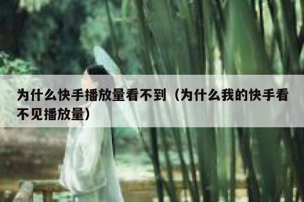 为什么快手播放量看不到（为什么我的快手看不见播放量） 第1张