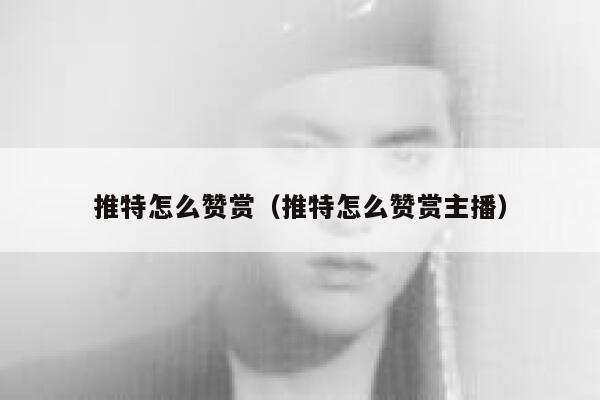 推特怎么赞赏（推特怎么赞赏主播） 第1张