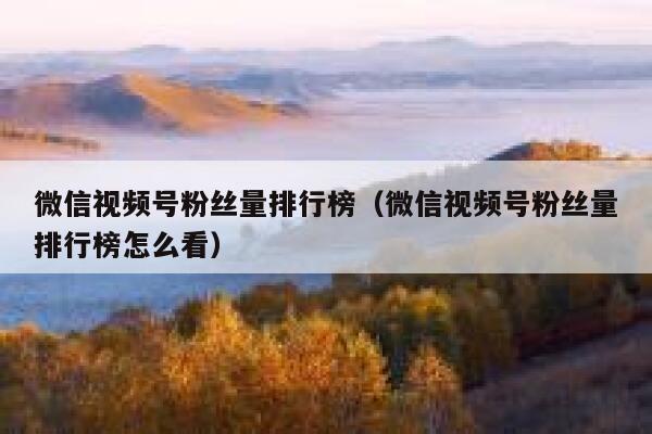 微信视频号粉丝量排行榜（微信视频号粉丝量排行榜怎么看） 第1张