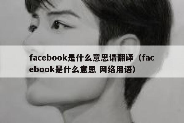facebook是什么意思请翻译（facebook是什么意思 网络用语） 第1张