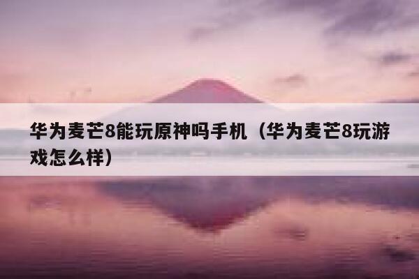 华为麦芒8能玩原神吗手机（华为麦芒8玩游戏怎么样） 第1张