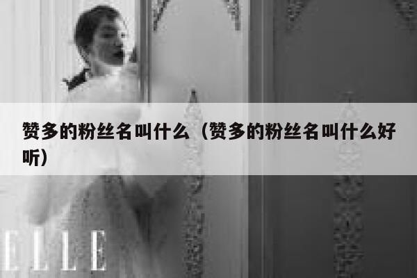 赞多的粉丝名叫什么（赞多的粉丝名叫什么好听） 第1张