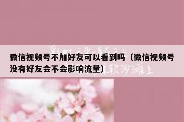 微信视频号不加好友可以看到吗（微信视频号没有好友会不会影响流量） 第1张