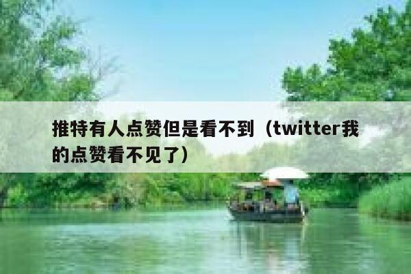 推特有人点赞但是看不到（twitter我的点赞看不见了） 第1张