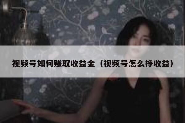 视频号如何赚取收益金(视频号怎么挣收益) 第1张 视频号如何赚取收益金(视频号怎么挣收益) 第1张