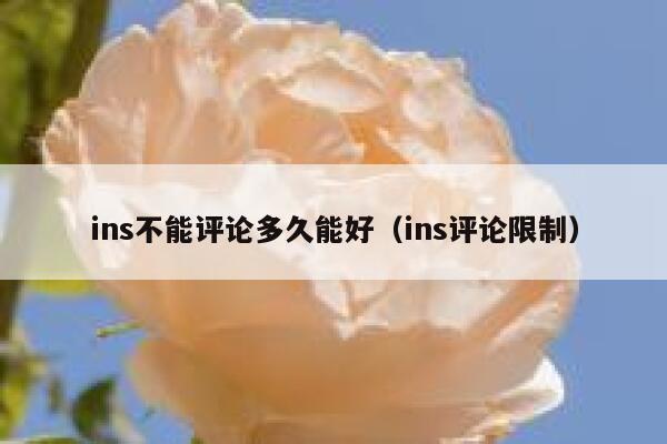 ins不能评论多久能好（ins评论限制） 第1张