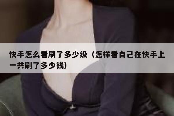 快手怎么看刷了多少级（怎样看自己在快手上一共刷了多少钱） 第1张
