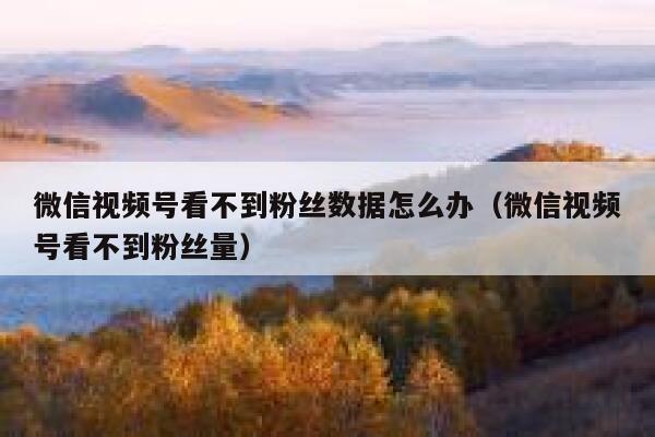 微信视频号看不到粉丝数据怎么办(微信视频号看不到粉丝量) 第1张 微信视频号看不到粉丝数据怎么办(微信视频号看不到粉丝量) 第1张