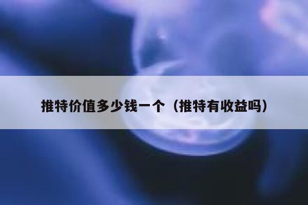 推特价值多少钱一个(推特有收益吗) 第1张 推特价值多少钱一个(推特有收益吗) 第1张