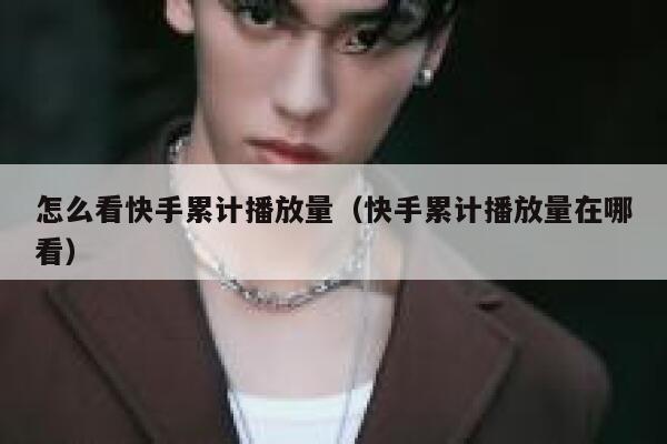 怎么看快手累计播放量（快手累计播放量在哪看） 第1张