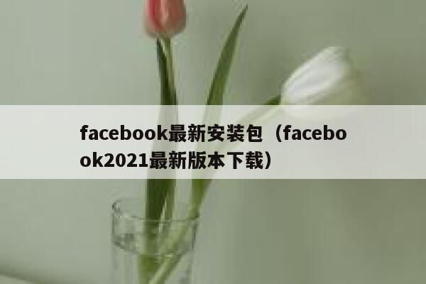 facebook最新安装包(facebook2021最新版本下载) 第1张 facebook最新安装包(facebook2021最新版本下载) 第1张