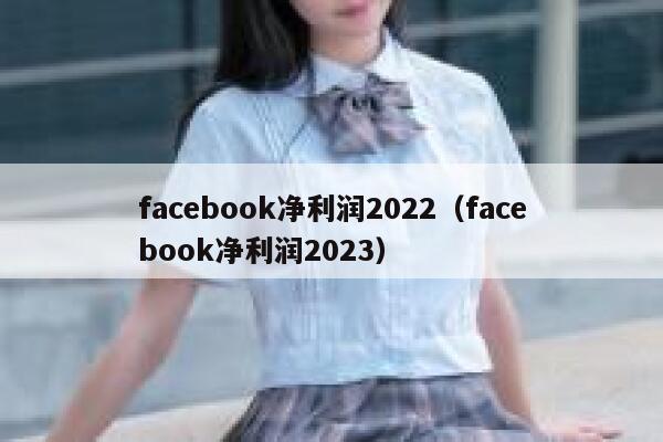 facebook净利润2022（facebook净利润2023） 第1张