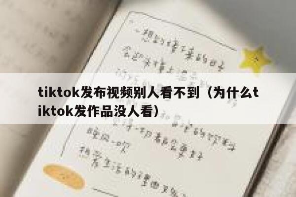 tiktok发布视频别人看不到(为什么tiktok发作品没人看) 第1张 tiktok发布视频别人看不到(为什么tiktok发作品没人看) 第1张