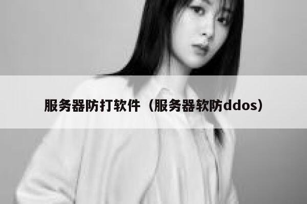 服务器防打软件(服务器软防ddos) 第1张 服务器防打软件(服务器软防ddos) 第1张