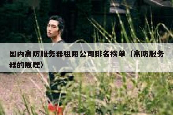 国内高防服务器租用公司排名榜单（高防服务器的原理） 第1张