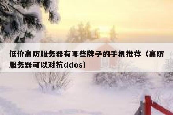 低价高防服务器有哪些牌子的手机推荐(高防服务器可以对抗ddos) 第1张 低价高防服务器有哪些牌子的手机推荐(高防服务器可以对抗ddos) 第1张