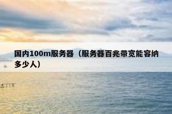 国内100m服务器（服务器百兆带宽能容纳多少人） 第1张