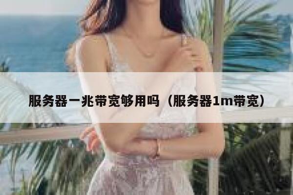 服务器一兆带宽够用吗(服务器1m带宽) 第1张 服务器一兆带宽够用吗(服务器1m带宽) 第1张