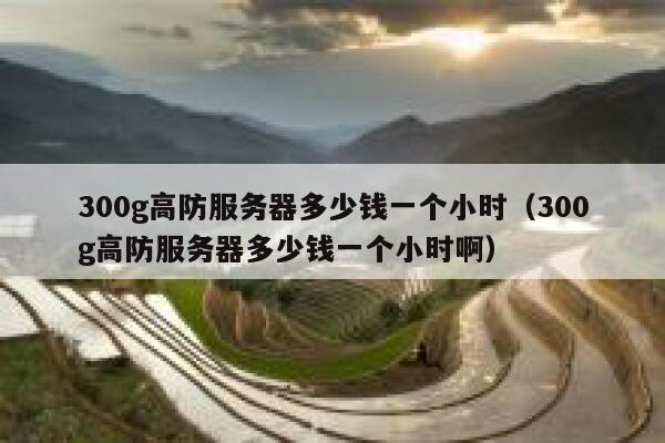 300g高防服务器多少钱一个小时（300g高防服务器多少钱一个小时啊） 第1张