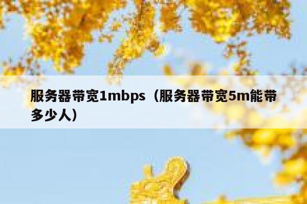 服务器带宽1mbps（服务器带宽5m能带多少人） 第1张