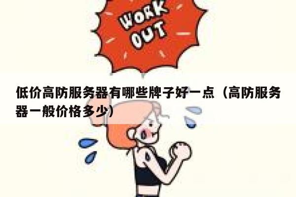 低价高防服务器有哪些牌子好一点（高防服务器一般价格多少） 第1张