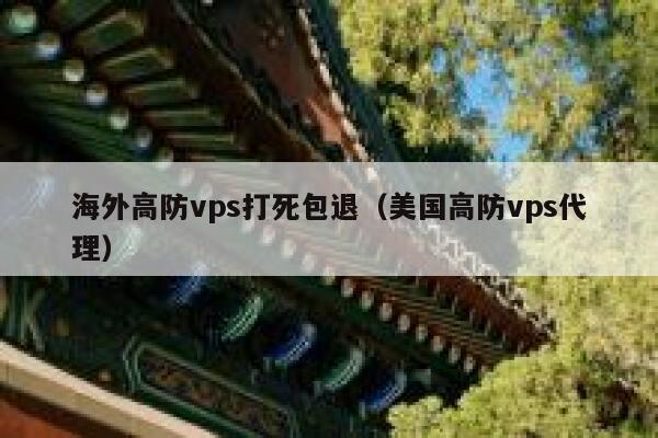 海外高防vps打死包退（美国高防vps代理） 第1张