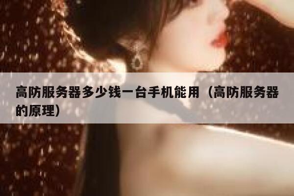 高防服务器多少钱一台手机能用（高防服务器的原理） 第1张