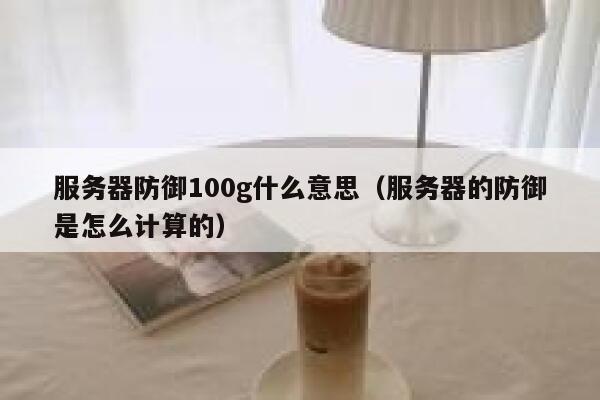 服务器防御100g什么意思（服务器的防御是怎么计算的） 第1张