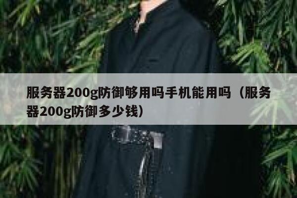 服务器200g防御够用吗手机能用吗（服务器200g防御多少钱） 第1张