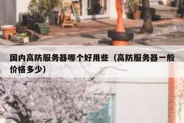 国内高防服务器哪个好用些（高防服务器一般价格多少） 第1张