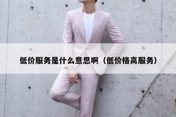低价服务是什么意思啊（低价格高服务） 第1张