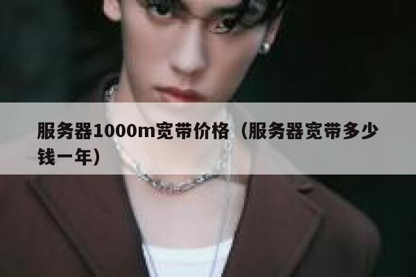 服务器1000m宽带价格(服务器宽带多少钱一年) 第1张 服务器1000m宽带价格(服务器宽带多少钱一年) 第1张