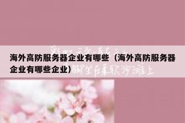海外高防服务器企业有哪些(海外高防服务器企业有哪些企业) 第1张 海外高防服务器企业有哪些(海外高防服务器企业有哪些企业) 第1张